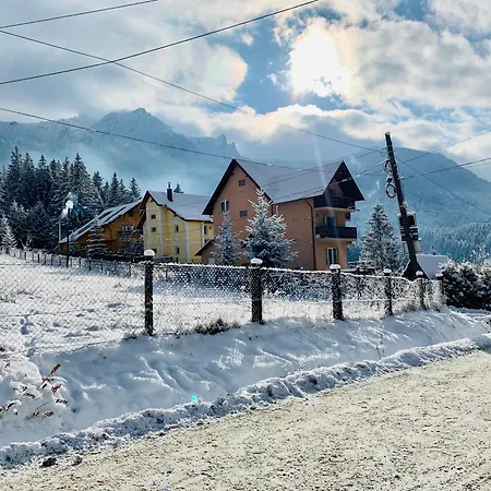 Homestay Pensiunea Alpin