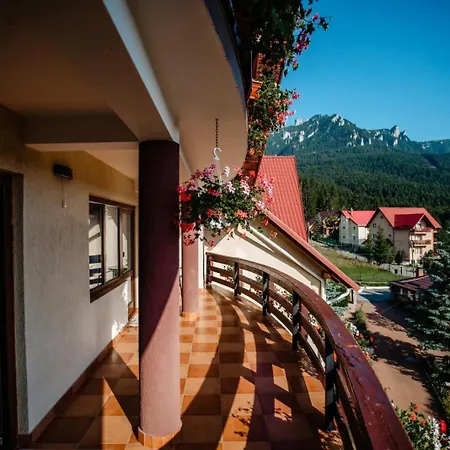 Pensiunea Alpin Durau