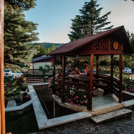 Homestay Pensiunea Alpin